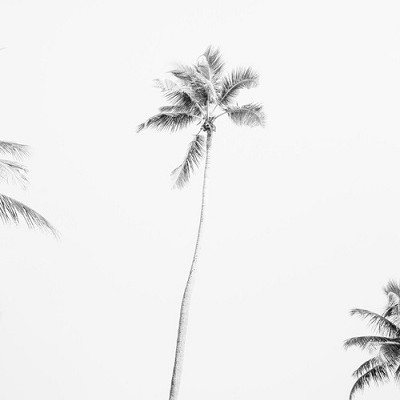 Becoming More