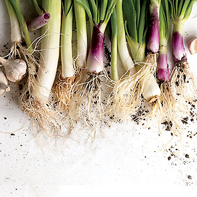 home grown organic