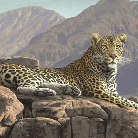 The Art Of Conservation
