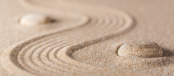 Holistic Wellness Practices