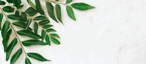 Ayurvedic Detoxing