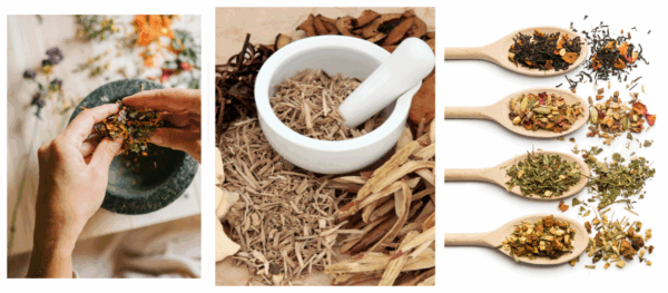 Herbal Immunity Boosters
